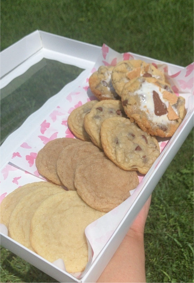 Large Sampler